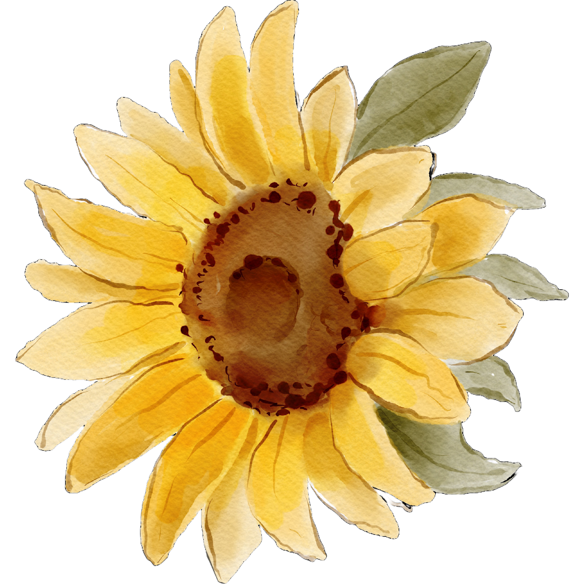 Decorative sunflower