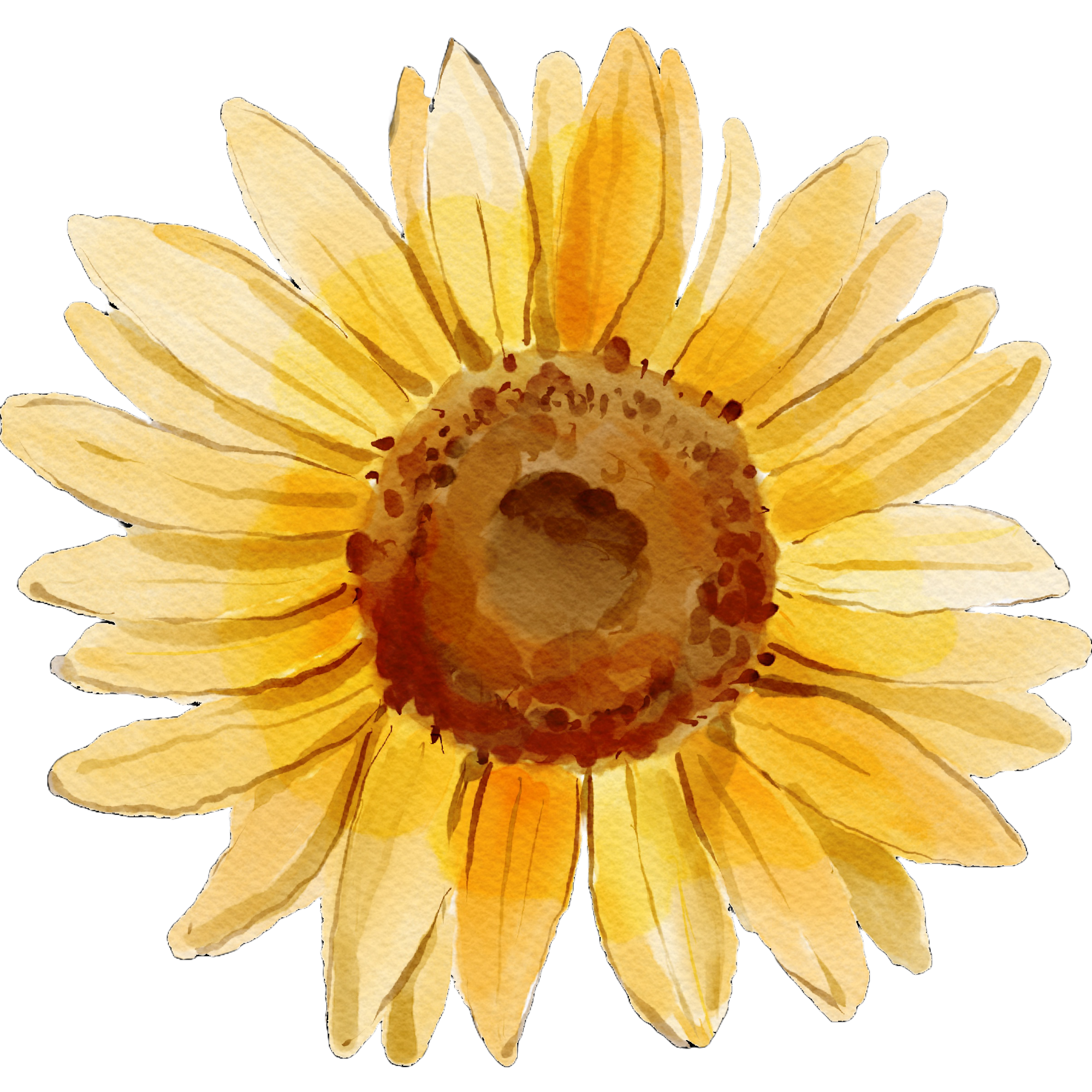 Decorative sunflower